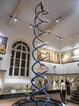 Trip To 'Indian Museum' kolkata